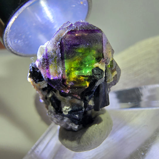 Fluorite fantôme colorée, Spécimen de tourmaline scholle muscovite, Erongo, Namibie, 19 x 17 x 14 mm 