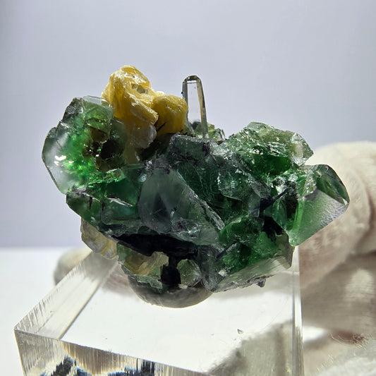 Spécimen de fluorite fantôme, tourmaline Schorl et quartz fumé, Erongo, Namibie, 30 x 22 x 22 mm 