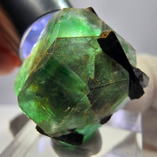 Spécimen de tourmaline Schorl hexagonale en fluorite fantôme, Erongo, Namibie, 23 x 22 x 22 mm 