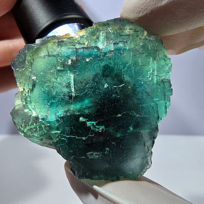 Spécimen de cube de fluorite fantôme, parqueté vert violet Okorusu, Namibie 45*43*31 mm 