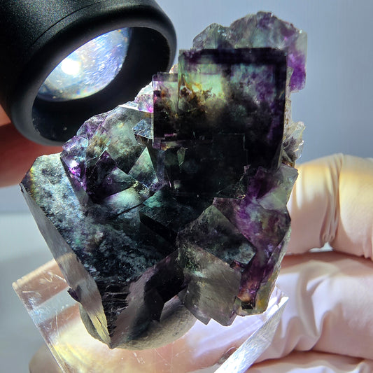 Phantom Fluorit Würfel Stufe, parkettiert grün lila Okorusu, Namibia 39*33*19mm