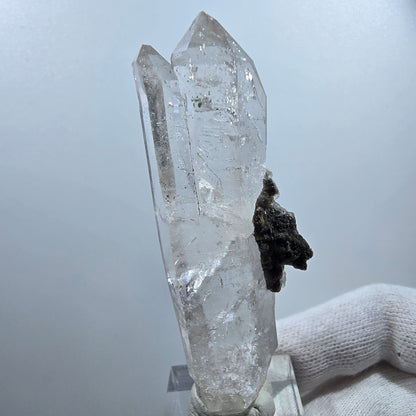 Quartz fumé DT Enhydro, sceptre, calcite UV, 4 parures de poche Bubble Valentine. Namibie, 76 x 26 x 12 mm. 