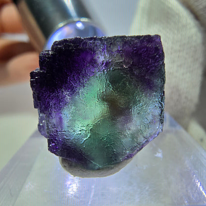 Spécimen de cube de fluorite fantôme parqueté zonal Okorusu, Namibie 16*16*14mm 