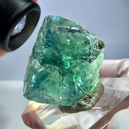 Cube de fluorite fantôme transparente parquetée, vert Okorusu, Namibie 23 x 22 x 15 mm 