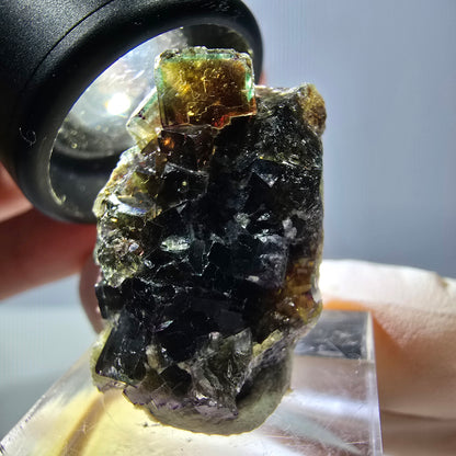 Phantom Fluorit Würfel Stufe, grün lila Okorusu, Namibia 28*24*13mm