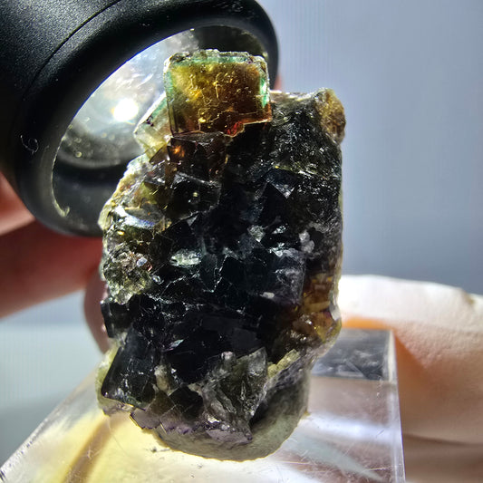 Phantom Fluorit Würfel Stufe, grün lila Okorusu, Namibia 28*24*13mm