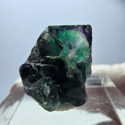 Rare Fluorite Cube Specimen, green purple Okorusu, Namibia 21*16*15mm 