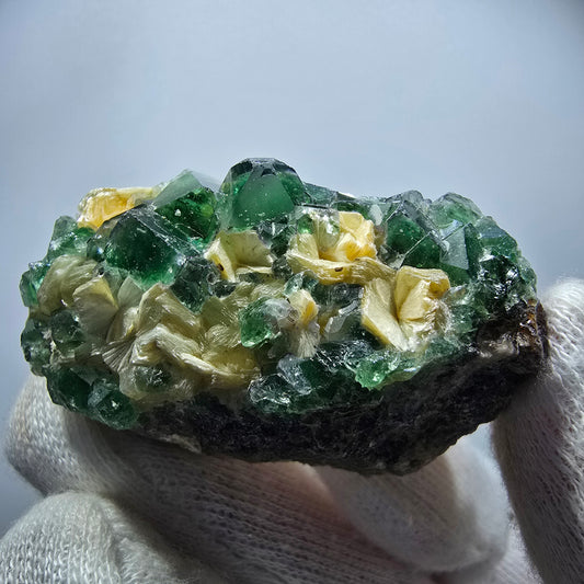 Rare Phantom Fluorite Cubes, Muscovite Specimen Erongo, Namibia 51*31*24mm 