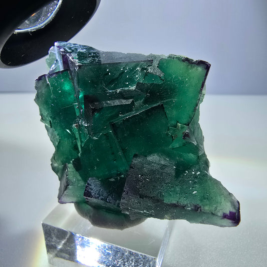Phantom Fluorit Würfel Stufe parkettiert zonal Okorusu, Namibia 58*47*24mm