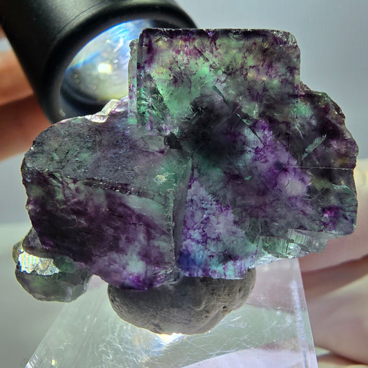 Seltene Fluorit Würfel Stufe, grün lila Okorusu, Namibia 42*30*16mm