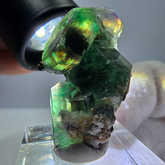 Fluorite fantôme hexagonale, tourmaline Schörl, quartz fumé, hyalite, Erongo, Namibie, 33 x 22 x 23 mm 