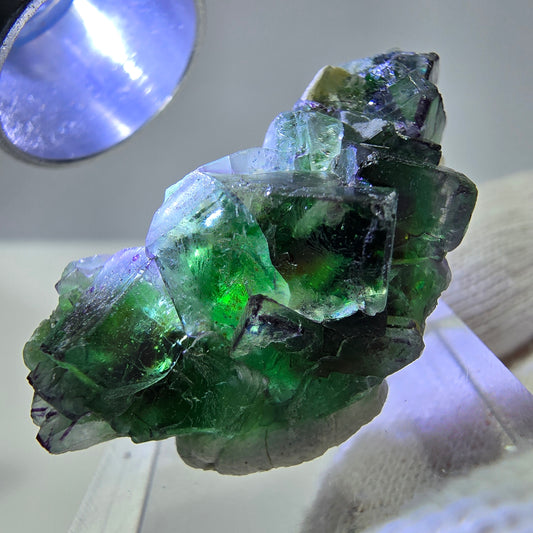Fluorite fantôme, quartz fumé, hyalite, tourmaline de Schörl, muscovite, Erongo, Namibie, 37 x 18 x 18 mm 