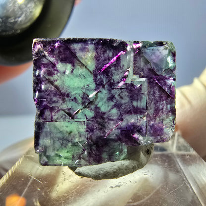 Phantom Fluorit Würfel parkettiert, grün lila Okorusu, Namibia 19*17*9mm
