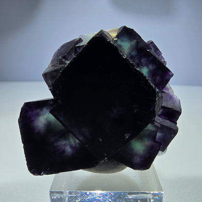 Seltene Phantom Fluorit Würfel Stufe zonal grün lila Okorusu, Namibia 51*46*28mm