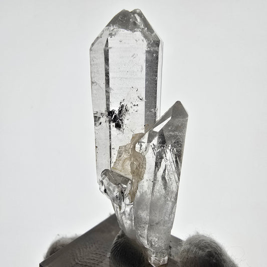 Sceptre de scène en quartz fumé fantôme lémurien, poche Saint-Valentin, Namibie, 55 x 18 x 15 mm 