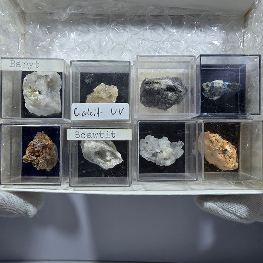 TOP Micromount Mineralien Sammlung Deutschland - 8 Stück Deutschland #8081