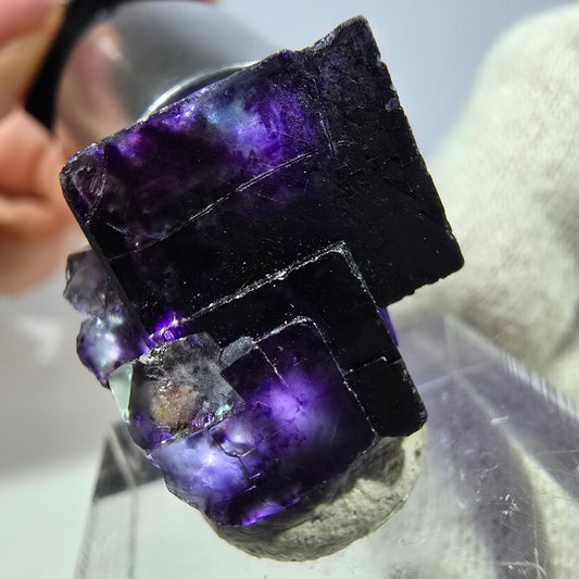Spécimen rare de cube de fluorite fantôme, vert zonal et violet, Okorusu, Namibie, 24 x 24 x 19 mm 