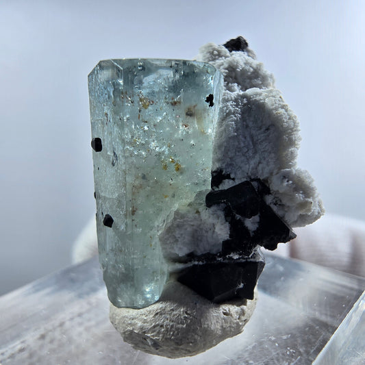 Aigue-marine de Setlene, tourmaline de Schörl, stade orthose Erongo, Namibie 24*23*17 mm 