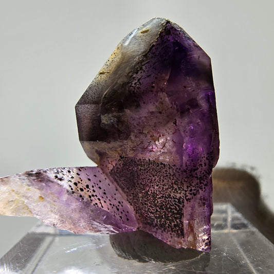 Rare spécimen de sceptre d'améthyste fantôme, Brandberg, Namibie, 25 x 24 x 14 mm 