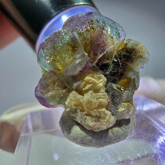 Cubes de fluorite fantôme colorés, spécimen de muscovite, Erongo, Namibie, 18 x 17 x 11 mm 