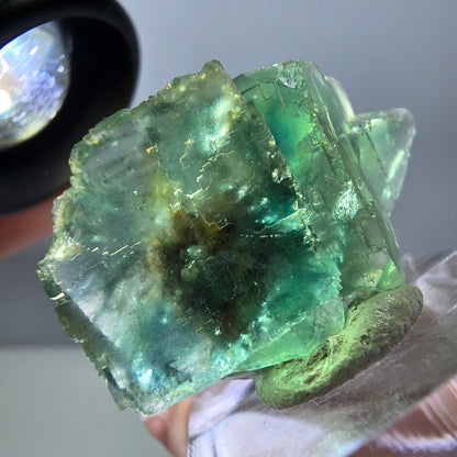 Spécimen de cube de fluorite fantôme, parquet vert Okorusu, Namibie 38 x 25 x 13 mm 