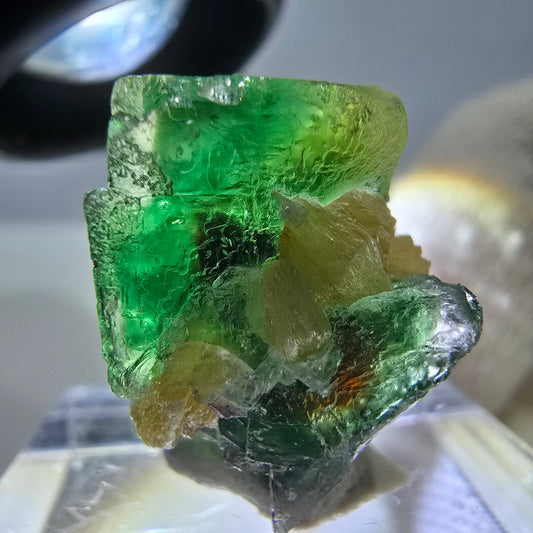 Cube de fluorite fantôme, spécimen de muscovite, Erongo, Namibie, 20 x 16 x 15 mm 