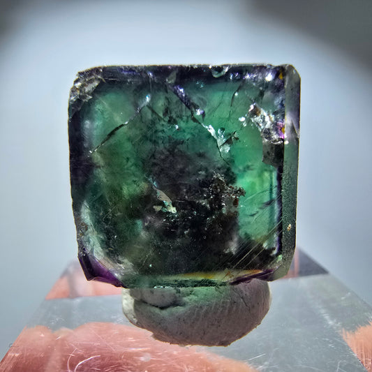 Rare cube de fluorite fantôme, vert violet zonal Okorusu, Namibie 21*21*14 mm 