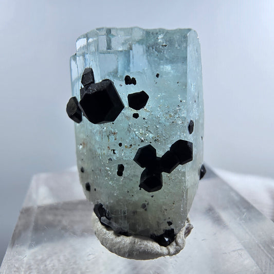 Aigue-marine Setlene, tourmaline Schörl stade Erongo, Namibie 21*15*14mm 
