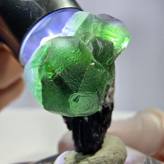Cube de fluorite fantôme hexagonal, muscovite, tourmaline Schörl Erongo, Namibie 29*21*21mm 