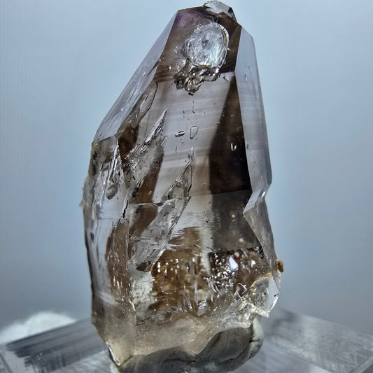 Enhydro Phantom Smoky Quartz Scepter, 3x Bubble Goboboseb, Namibia 33*19*14mm 