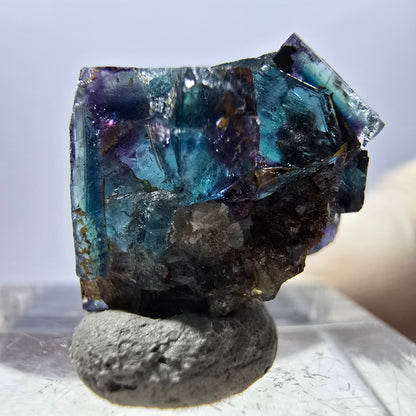 Spécimen de cube de fluorite fantôme, parqueté vert violet Okorusu, Namibie 20 x 15 x 12 mm 