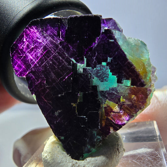 Phantom Fluorit Würfel Stufe grün lila zonal 11:11 Angel Pocket, Namibia 27*23*18mm