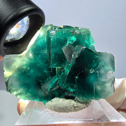 Spécimen de cube de fluorite fantôme, parquet vert Okorusu, Namibie 39 x 34 x 18 mm 