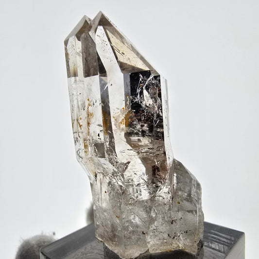 Sceptre de poche en quartz fumé fantôme squelette, Namibie, 42 x 21 x 17 mm 