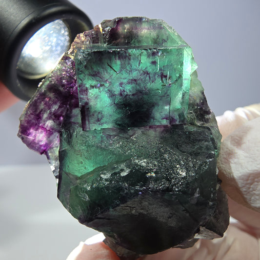 Spécimen de cube de fluorite fantôme, parqueté vert violet Okorusu, Namibie 47*35*24 mm 