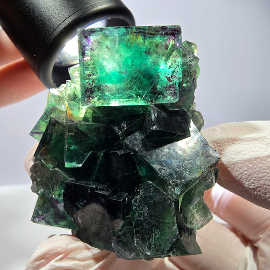 Spécimen de cube de fluorite fantôme, parqueté vert violet Okorusu, Namibie 52*46*32mm 