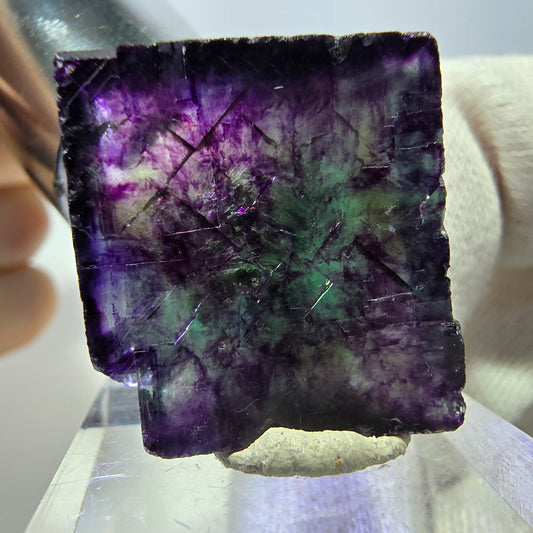 Rare cube de fluorite fantôme zonal, vert violet Okorusu, Namibie 31*29*15mm 
