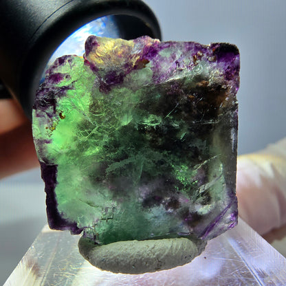 Phantom Fluorit Würfel Stufe, parkettiert, zonal Okorusu, Namibia 24*22*18mm