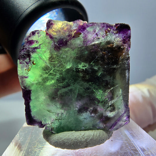 Phantom Fluorit Würfel Stufe, parkettiert, zonal Okorusu, Namibia 24*22*18mm