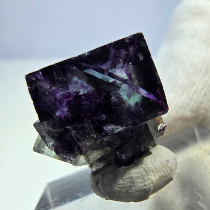Spécimen de cube de fluorite fantôme transparente, vert-violet zonal, Okorusu, Namibie, 16 x 16 x 15 mm 