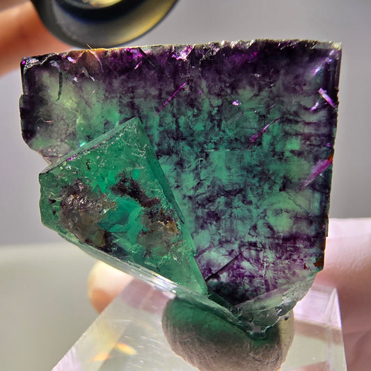 Rare cube de fluorite fantôme parqueté vert violet Okorusu Namibie 32*31*22mm 