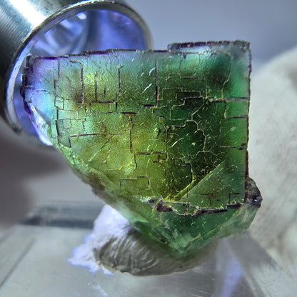 Seltener Phantom Fluorit Würfel, zonal, parkettiert Okorusu, Namibia 27*19*19mm