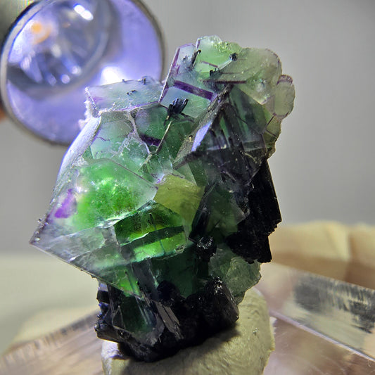Cube de fluorite fantôme, zonal, muscovite, spécimen de tourmaline Schorl, Erongo, Namibie, 22 x 20 x 15 mm 