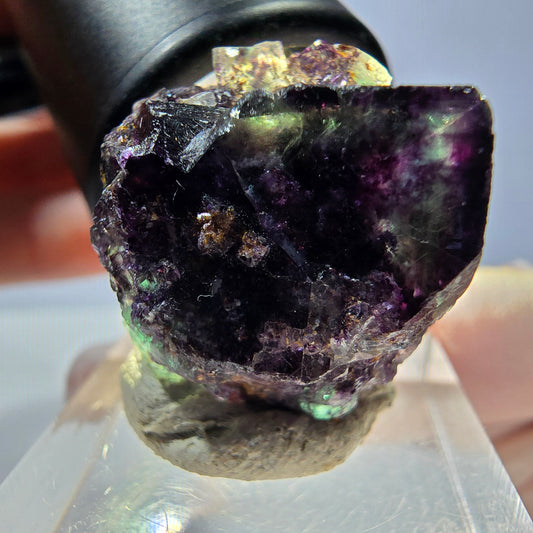 Cube de fluorite fantôme transparente, vert violet, Okorusu, Namibie, 24 x 22 x 13 mm 