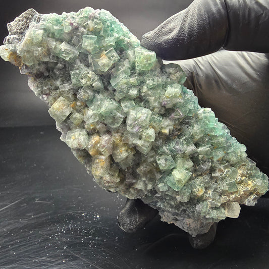 Grands cubes de fluorite zonaux, niveau de quartz vert violet Erongo, Namibie 124*59*27mm