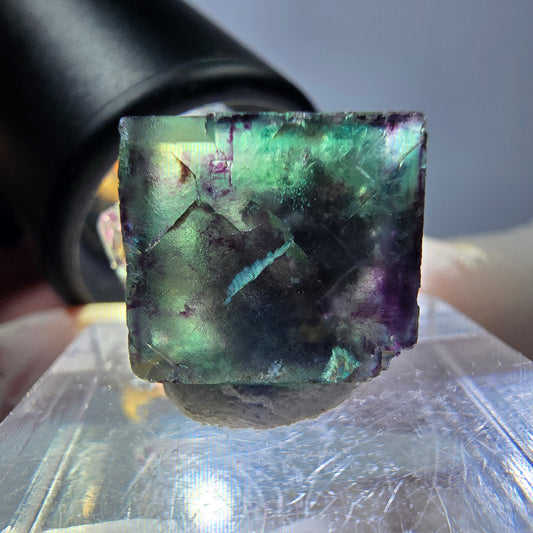 Spécimen de cube de fluorite fantôme, parqueté vert violet Okorusu, Namibie 19*18*14 mm 