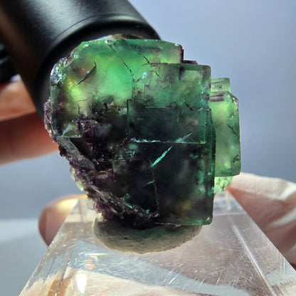 Spécimen de cube de fluorite fantôme, parqueté vert violet Okorusu, Namibie 26*25*16 mm 