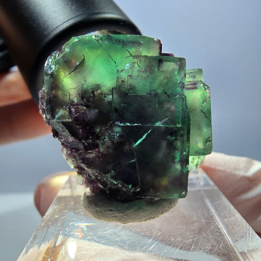 Spécimen de cube de fluorite fantôme, parqueté vert violet Okorusu, Namibie 26*25*16 mm 