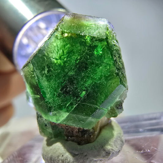 Cube hexagonal de fluorite fantôme, muscovite, tourmaline Schörl, Erongo, Namibie, 20 x 17 x 13 mm 