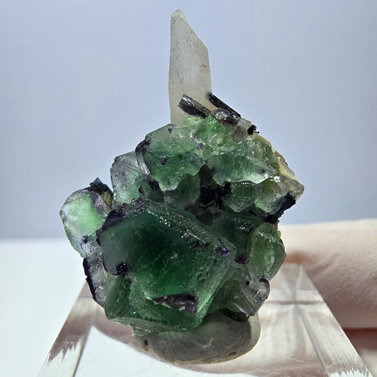 Cube de fluorite fantôme, quartz fumé, tourmaline schol, muscovite, Erongo, Namibie, 31 x 22 x 16 mm 